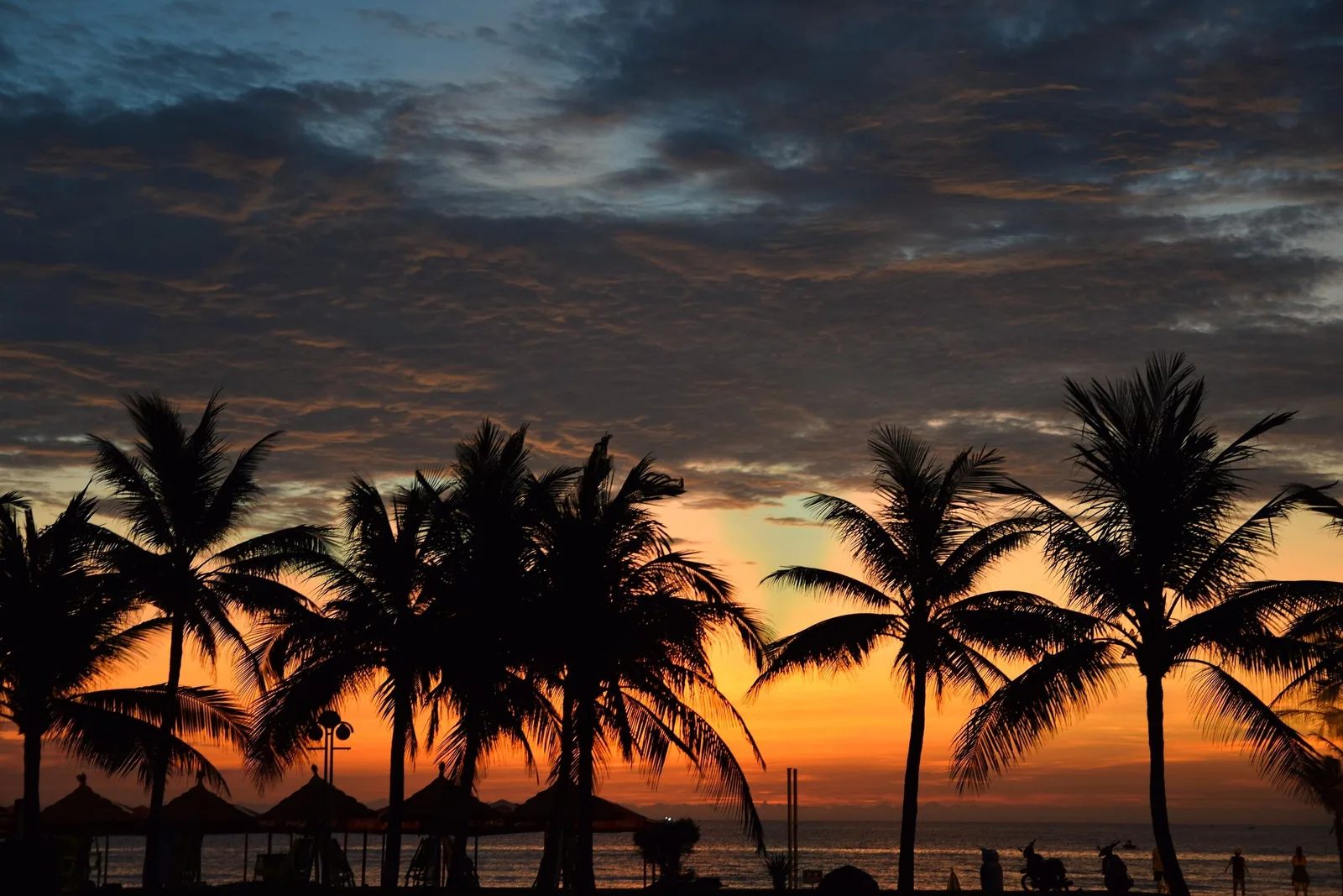Palm trees silhouetted against a fiery orange sunset sky along Da Nang beach in Vietnam. Palm trees silhouetted against a fiery orange sunset sky along Da Nang beach in Vietnam.