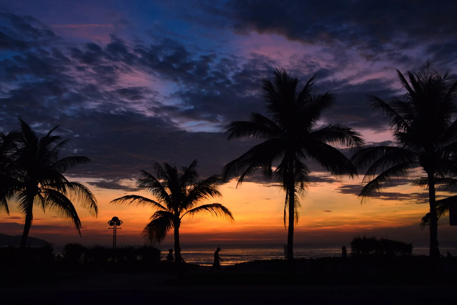 Palm trees silhouetted against a vivid orange and purple sunset sky over Da Nang beach. Palm trees silhouetted against a vivid orange and purple sunset sky over Da Nang beach.