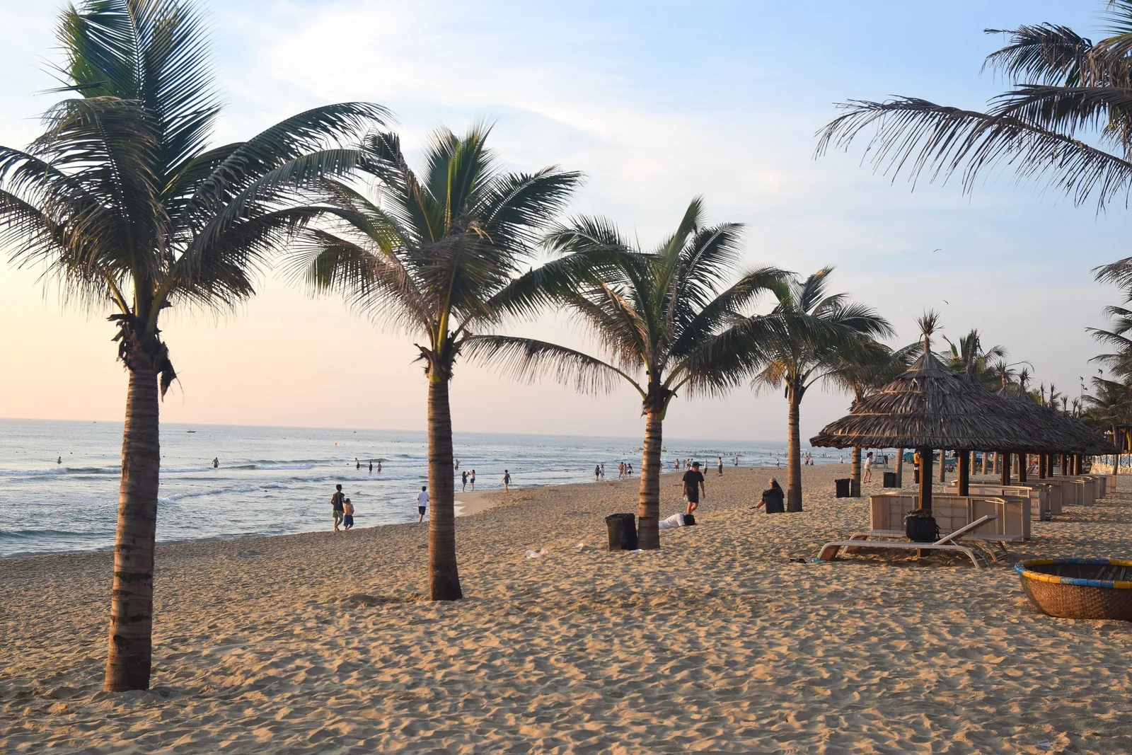 Palm trees line a sandy Da Nang beach with thatched umbrellas and people strolling at sunset. Palm trees line a sandy Da Nang beach with thatched umbrellas and people strolling at sunset.